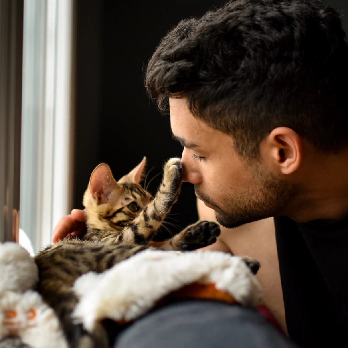 แมวจำเจ้าของเก่าได้ไหม? เจาะลึกความจำและวิธีสังเกตอาการ