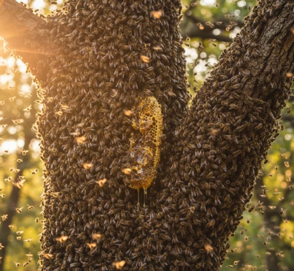 เปิดคำทำนายโลก ปี 2026 มีแต่เรื่องใหญ่ ๆ โรคระบาด-ภัยพิบัติ