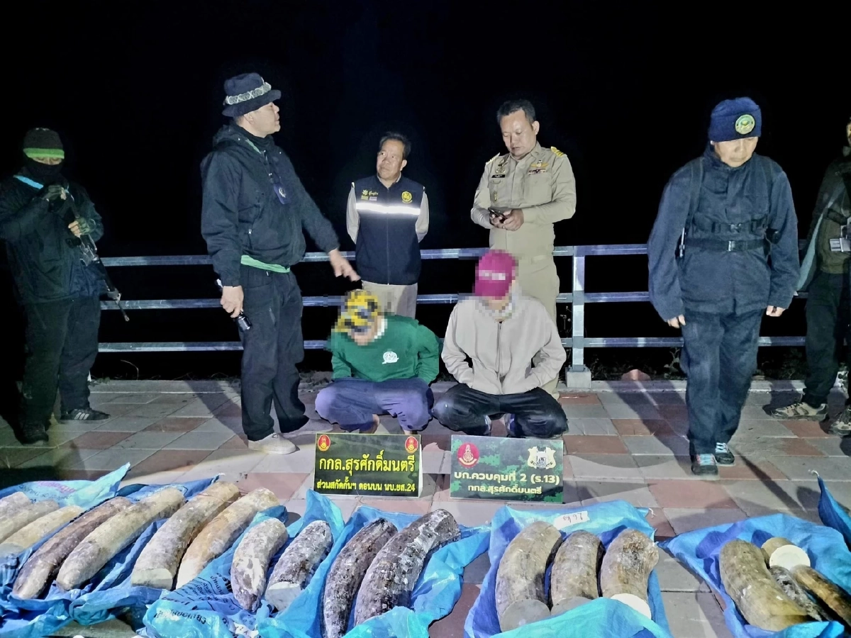สกัดคาริมโขง กกล.สุรศักดิ์มนตรี ทลายขบวนการค้าสัตว์ป่าข้ามชาติ