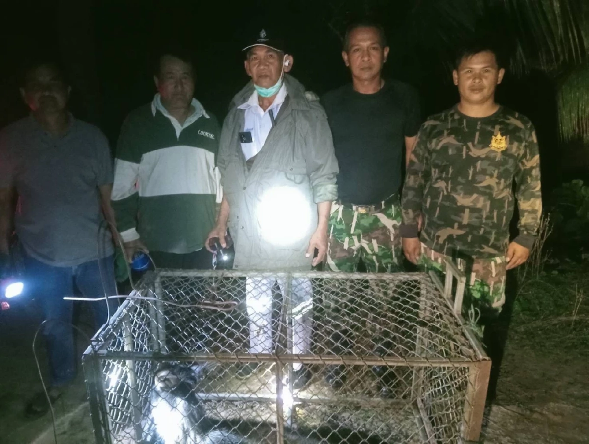 ช่วยเหลือเลียงผาบาดเจ็บ ผ่านการแจ้งผ่านสายด่วนพิทักษ์ป่า 1362