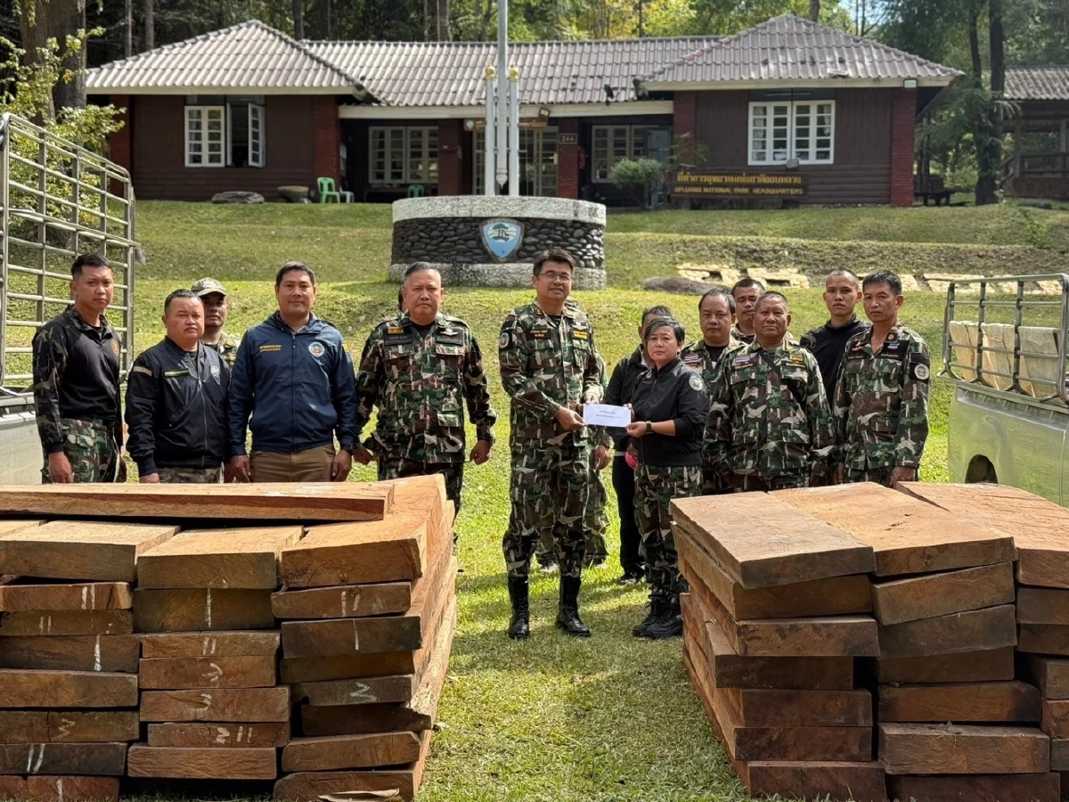 ปิดล้อม! ปฏิบัติการดักซุ่มรวบขบวนการค้าไม้ประดู่ ยึดของกลาง