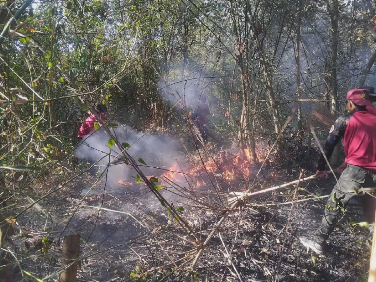 นาทีระทึก! เจ้าหน้าที่คุมไฟป่าบ้านวังน้ำขุ่นสำเร็จ เสียหาย 15 ไร่