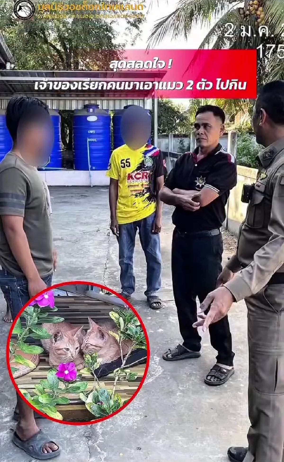 หญิงสุรินทร์อ้างหาคนรับแมวไปดูแล มูลนิธิวอชด็อก เผยเบื้องหลัง