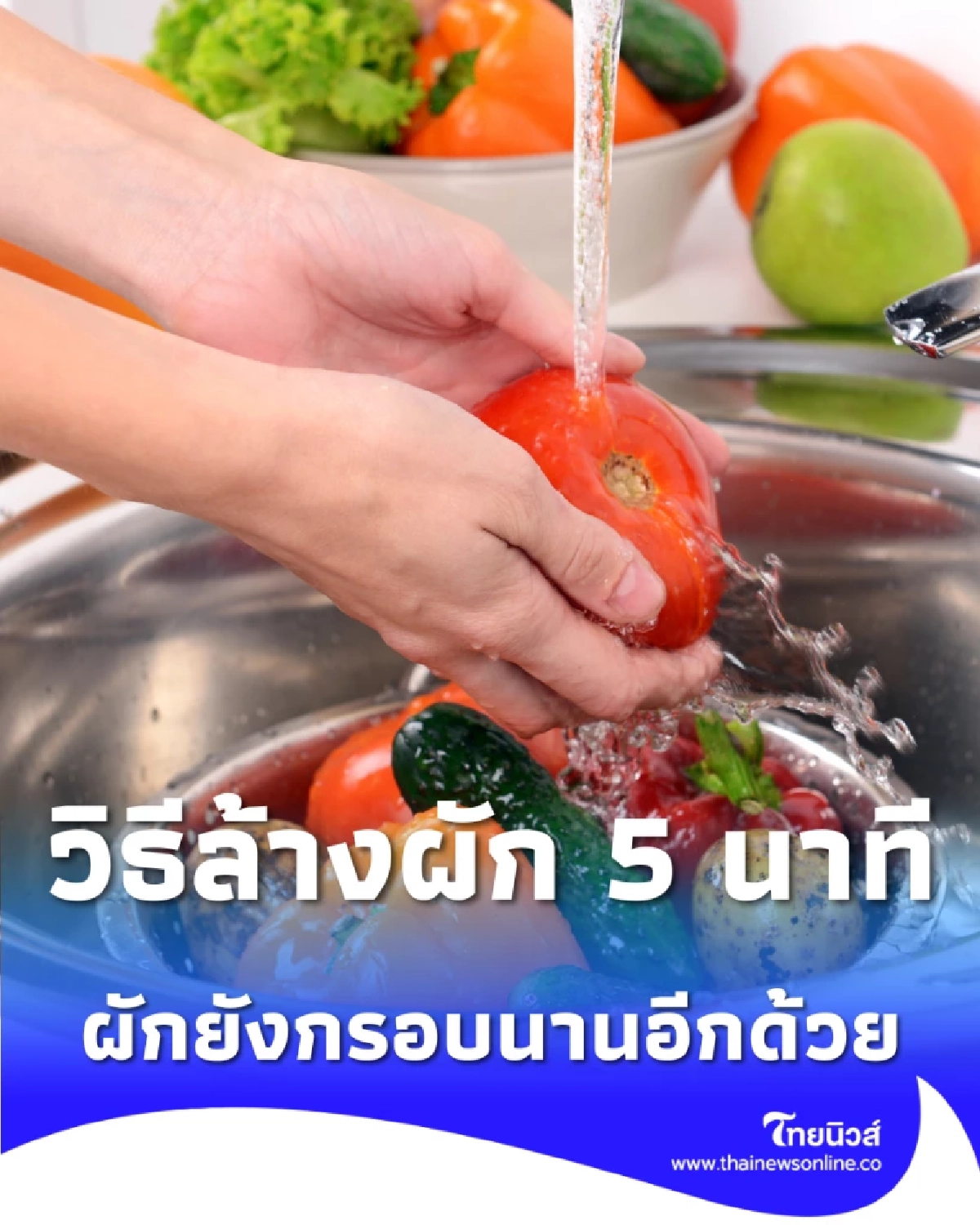 เปิดวิธีล้างผัก 5 นาที สะอาดเกลี้ยง และผักยังกรอบนานอีกด้วย