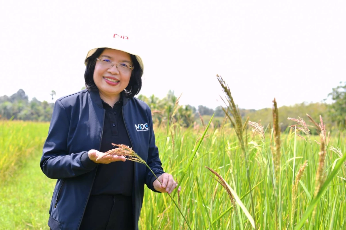 กรมทรัพย์สินทางปัญญา ปักหมุด "นราธิวาส" ลุยต่อยอดโครงการ GI SMARTTRACE