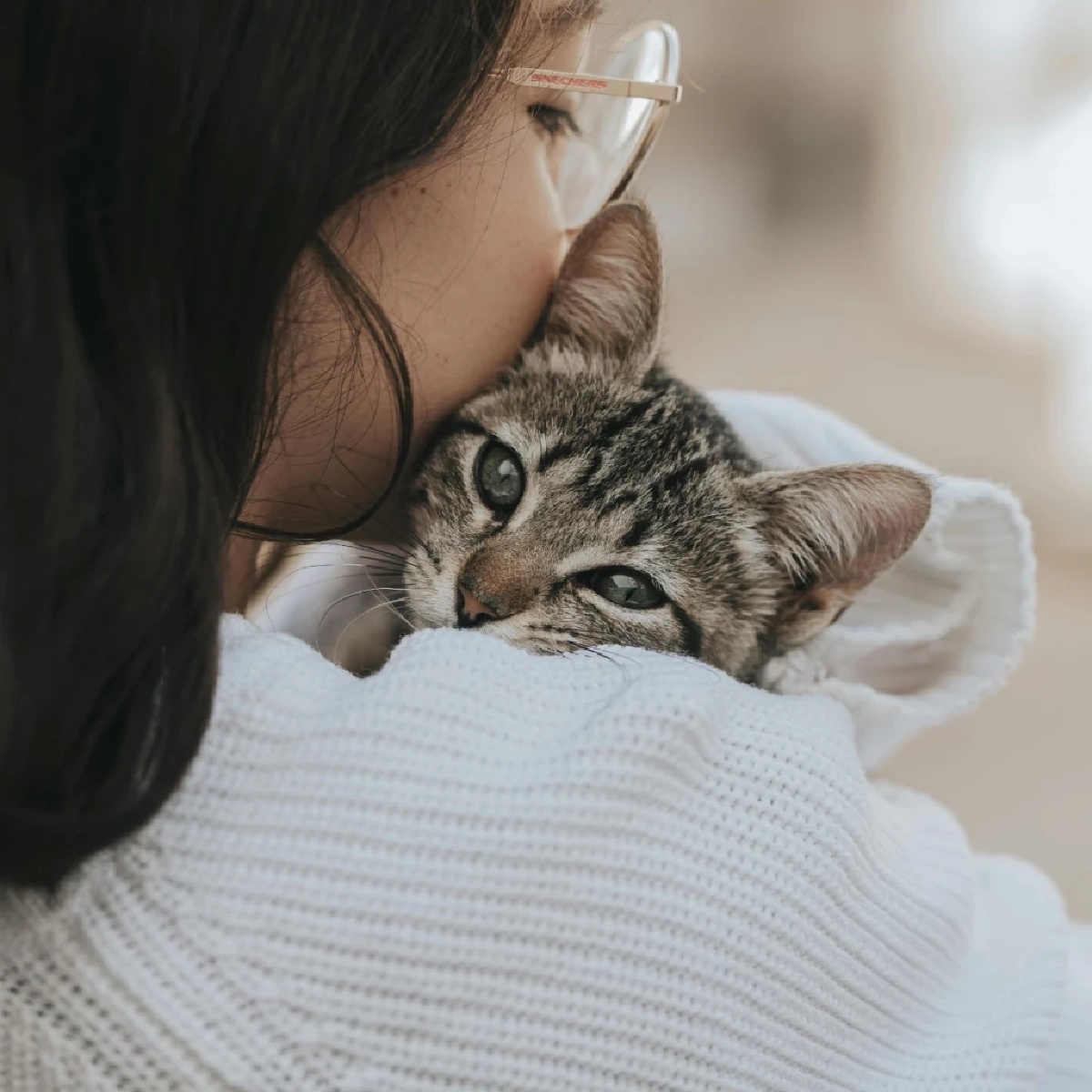 ไขคำตอบ 4 เหตุผลหลักที่ทำให้แมวไม่มีกลิ่นตัวเหมือนสุนัข