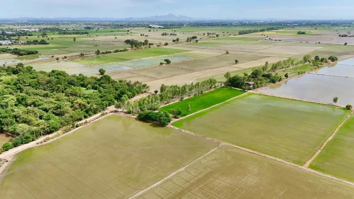 กรมชลฯ ยันน้ำปี 69 เต็มถัง 87% มั่นใจรับมือแล้งนี้ได้แน่นอน