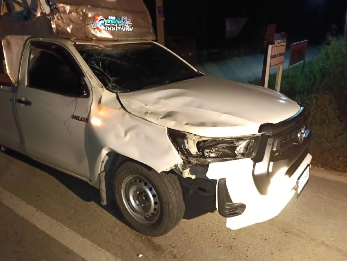 รถยนต์ชนกระทิงป่ากลางดึก บนเส้นทางเขาใหญ่ รถเสียหายหนัก