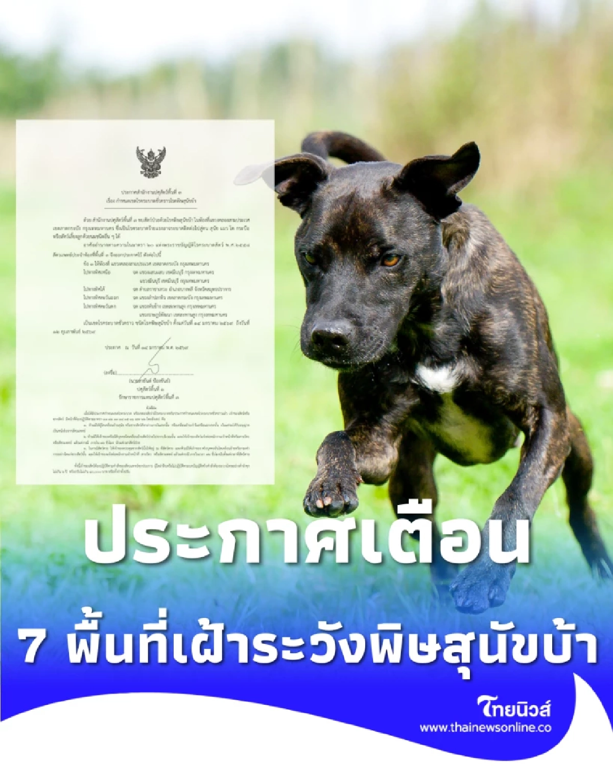 ประกาศเตือนเขตลาดกระบัง พบสัตว์ป่วยโรคพิษสุนัขบ้า 