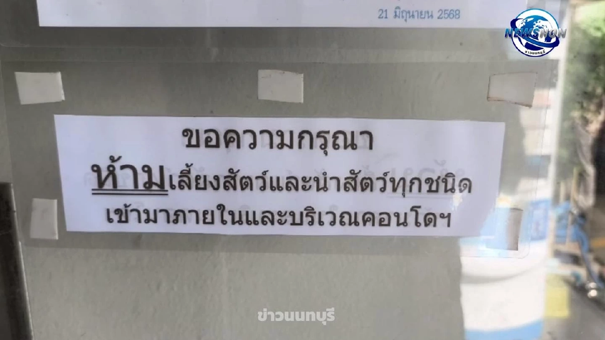  รักแมวจนชีวิตพลิก ลุงวัย 63 เช่าห้องเลี้ยงแมวหลายสิบตัว 