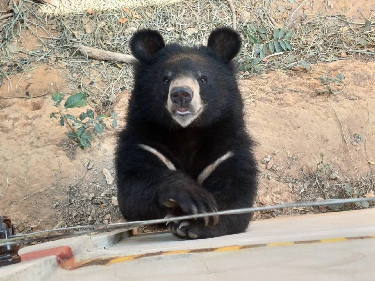 ประชาชนแห่เช็คอินสถานีเพาะเลี้ยงสัตว์ป่าเขาสน จ.ราชบุรี