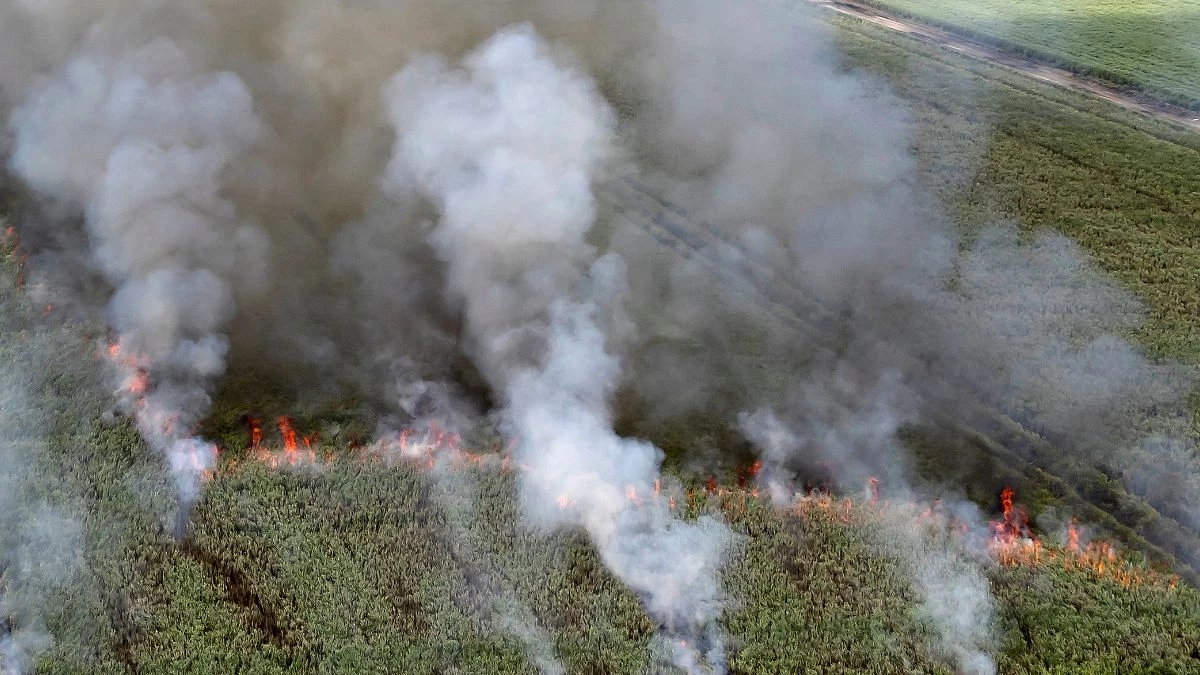 กรมควบคุมมลพิษ แจงกฎหมายห้ามเผา ฝ่าฝืนโทษหนัก คุกสูงสุด 20 ปี