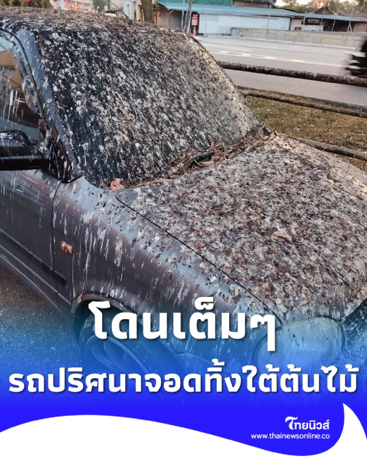 รถปริศนาจอดทิ้งใต้ต้นไม้ โดนศิลปะจากนกเต็มๆ สงสัยใครคือเจ้าของ