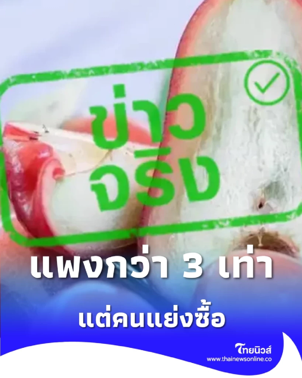 ขึ้นแท่นของดี ชมพู่คลองหาด คว้าเครื่องหมาย GI ราคาสูงกว่าทั่วไป 3 เท่า