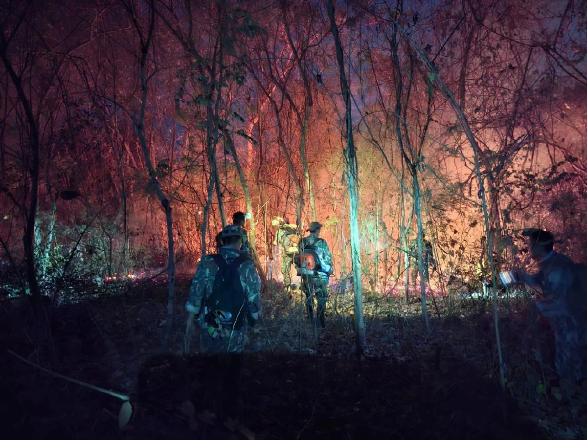 ภาพ @กรมอุทยานแห่งชาติ สัตว์ป่า และพันธุ์พืช