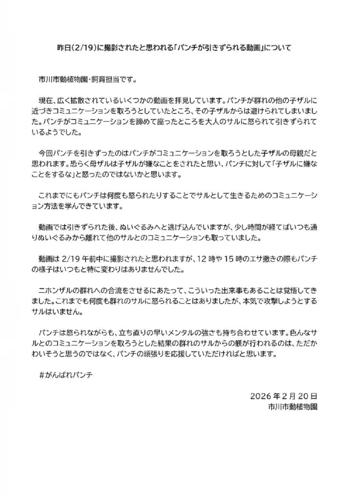 เฉลยสาเหตุ "พันช์คุง" ถูกลิงโตเต็มวัยลาก หลังพยายามเข้าหา