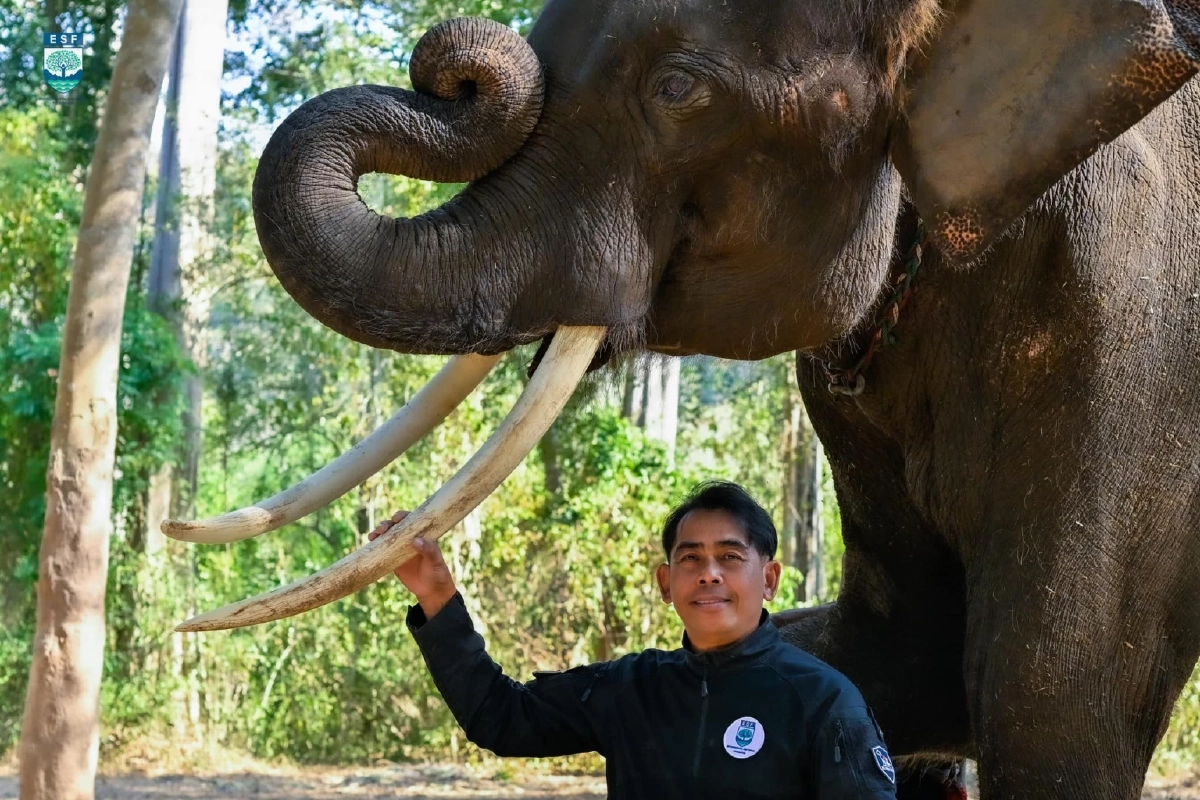 ภาพ @Alongkot Chukaew