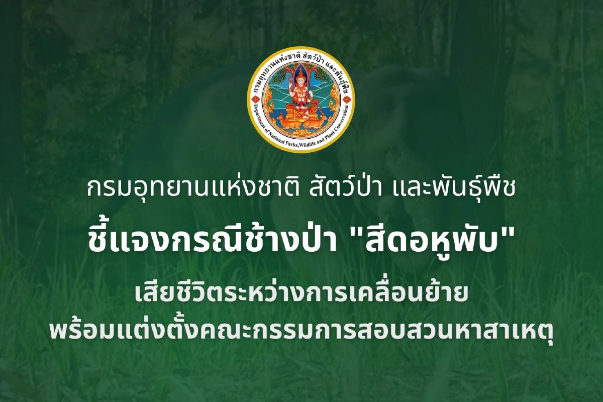 กรมอุทยานฯ แจงด่วนกรณี สีดอหูพับ สิ้นใจขณะย้ายกลับป่า