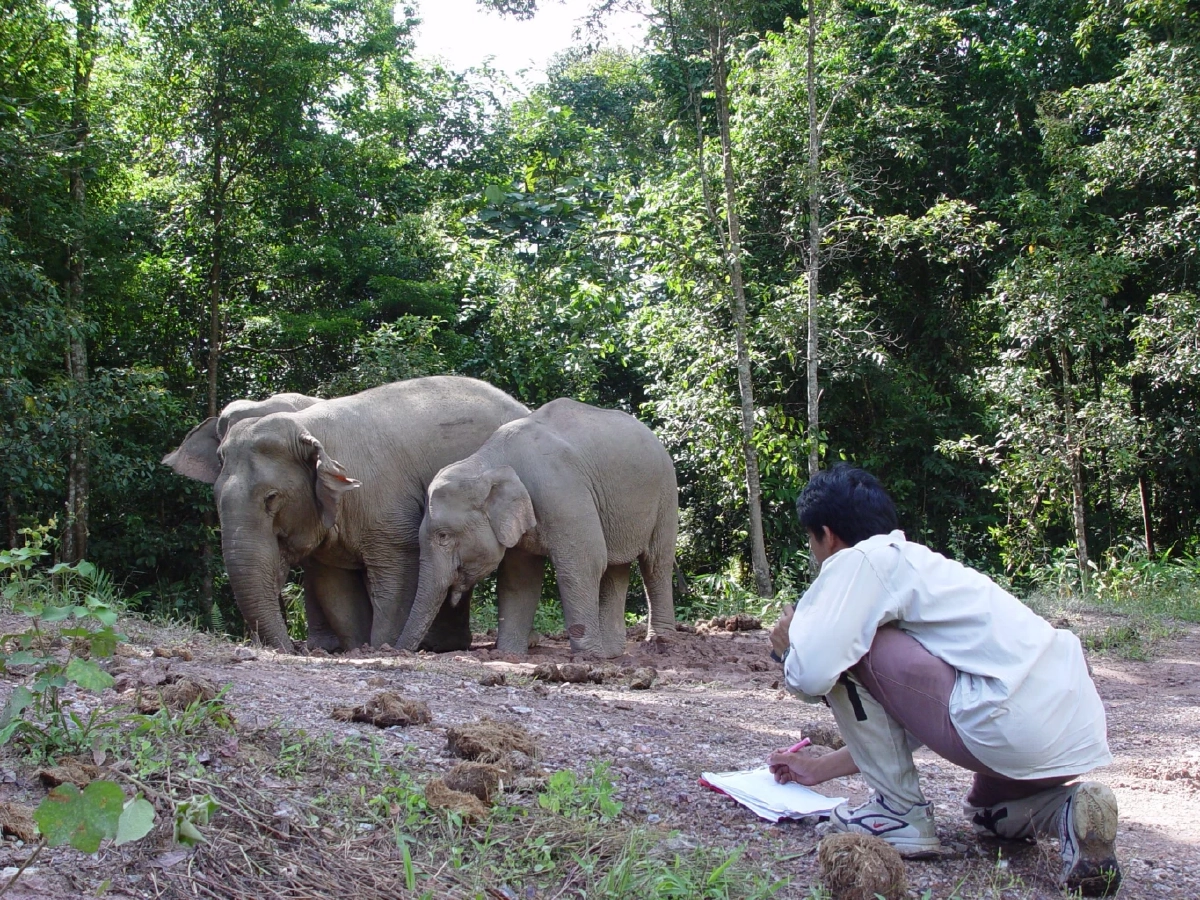ภาพ @Alongkot Chukaew