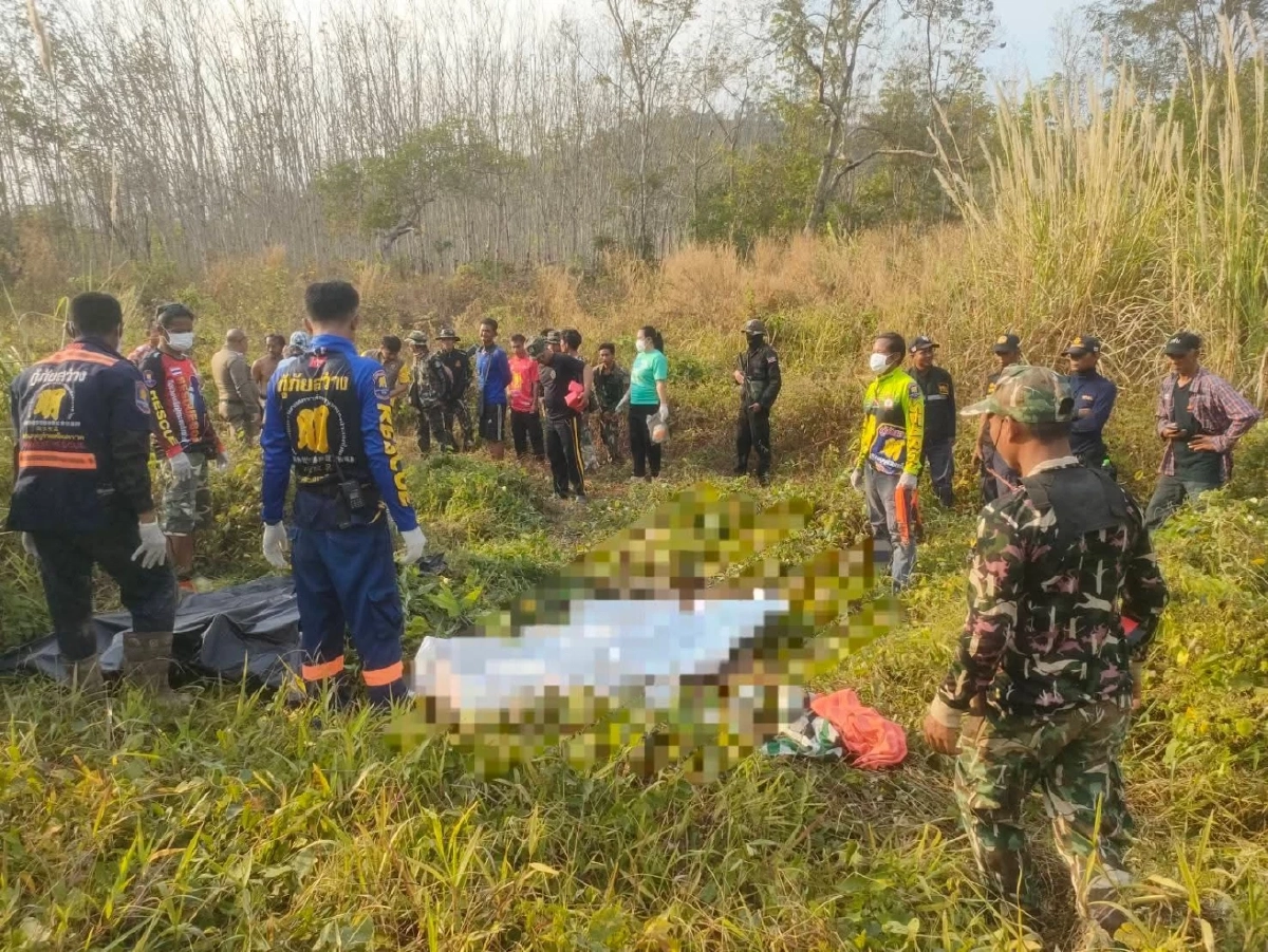 ช้างป่าทำร้ายชายกัมพูชาเสียชีวิตคาสวนยาง จ.ตราด เร่งเฝ้าระวัง