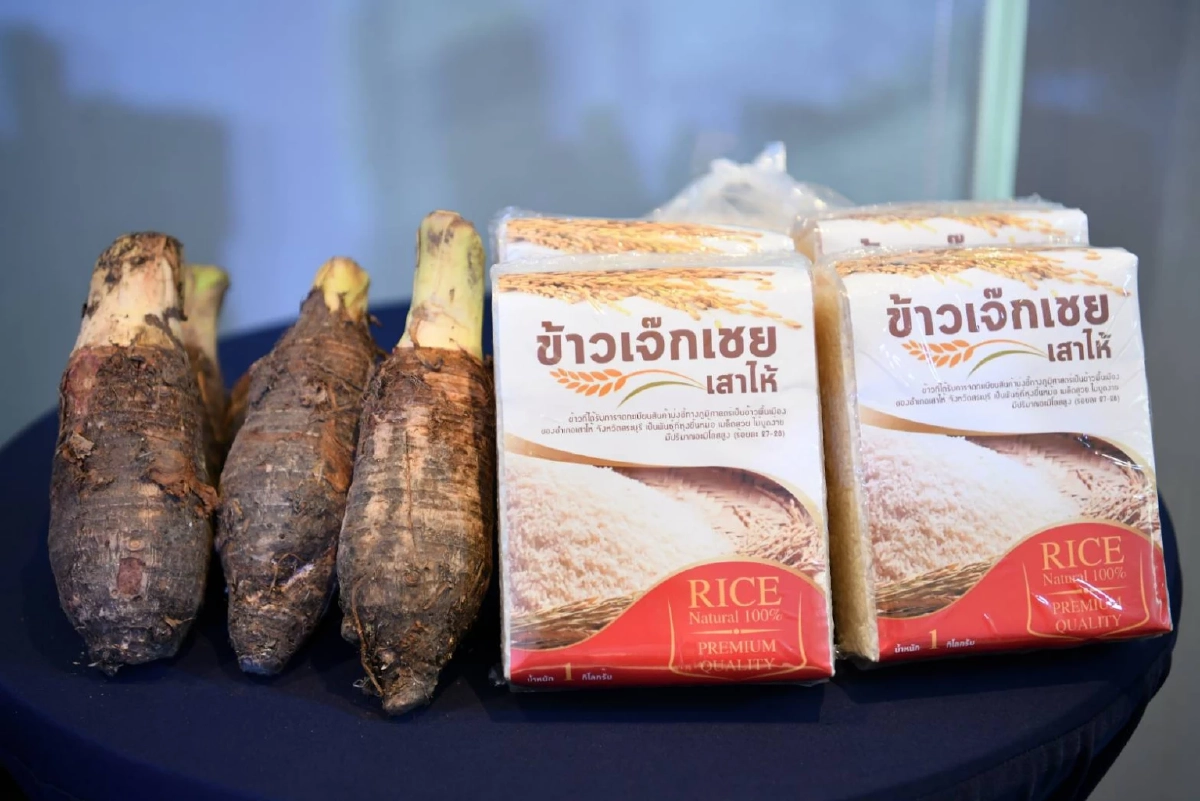 "กรมทรัพย์สินทางปัญญา"เปิดโมเดลรัฐ-เอกชน ปั้น "GI ไทย" ขยายฐานตลาดพรีเมียม