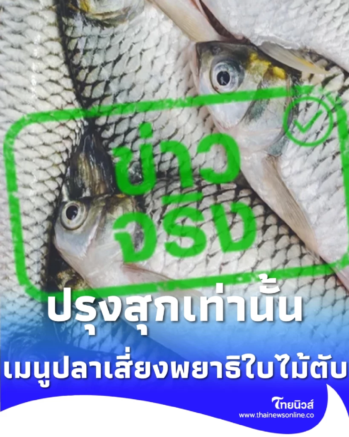 แนะปรุงสุกเมนูปลาน้ำจืด ลดความเสี่ยงพยาธิใบไม้ตับและมะเร็งท่อน้ำดี