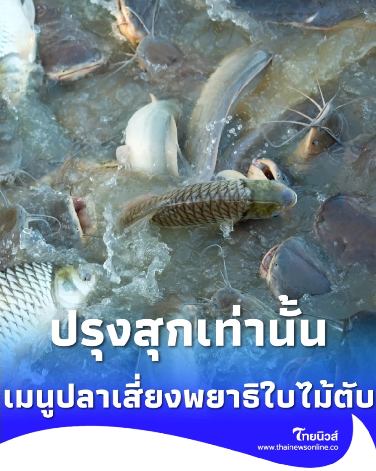 แนะปรุงสุกเมนูปลาน้ำจืด ลดความเสี่ยงพยาธิใบไม้ตับและมะเร็งท่อน้ำดี