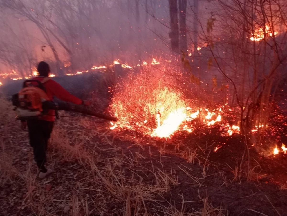 โปรยน้ำกว่า 7 หมื่นลิตร! ระดมกำลังดับไฟป่าภูเขียว 3 วัน
