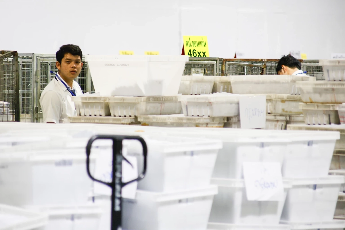 ภาพ กอบภัค พรหมเรขา