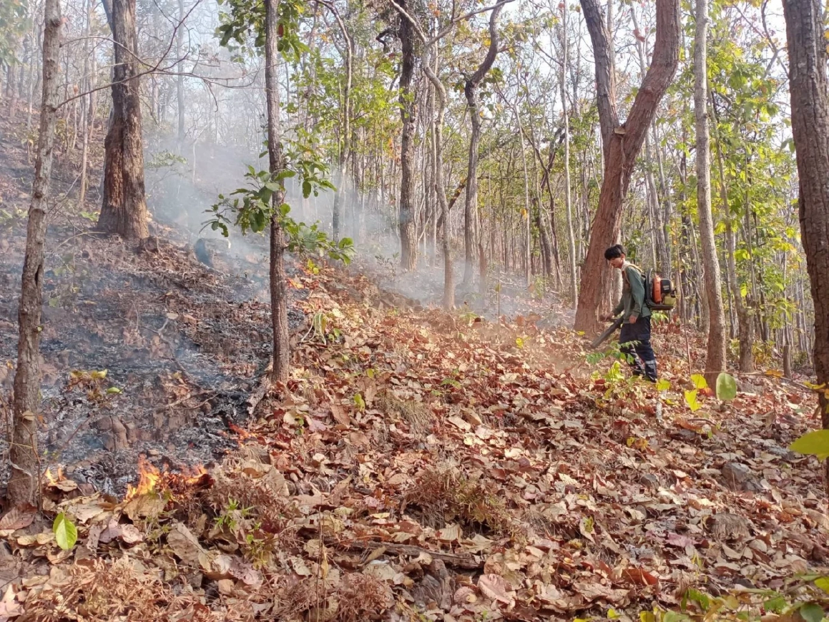 สบอ.11 ระดมกำลังดับไฟป่า 2 พื้นที่ เสียหายรวม 60 ไร่ เร่งควบคุม