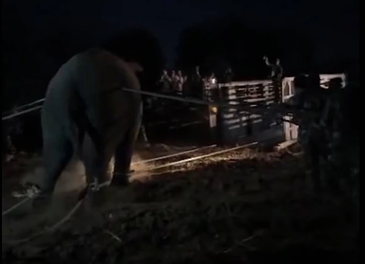 ดร.อลงกต จี้รัฐสภาใช้กรณีสีดอหูพับปฏิรูปกฎหมายทั้งระบบ