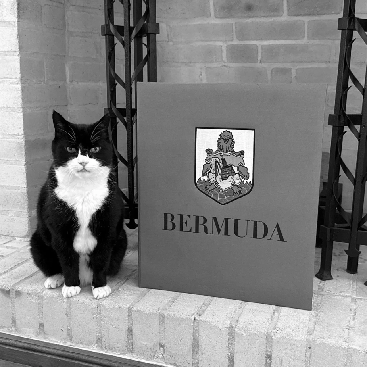 ภาพ UK in Thailand