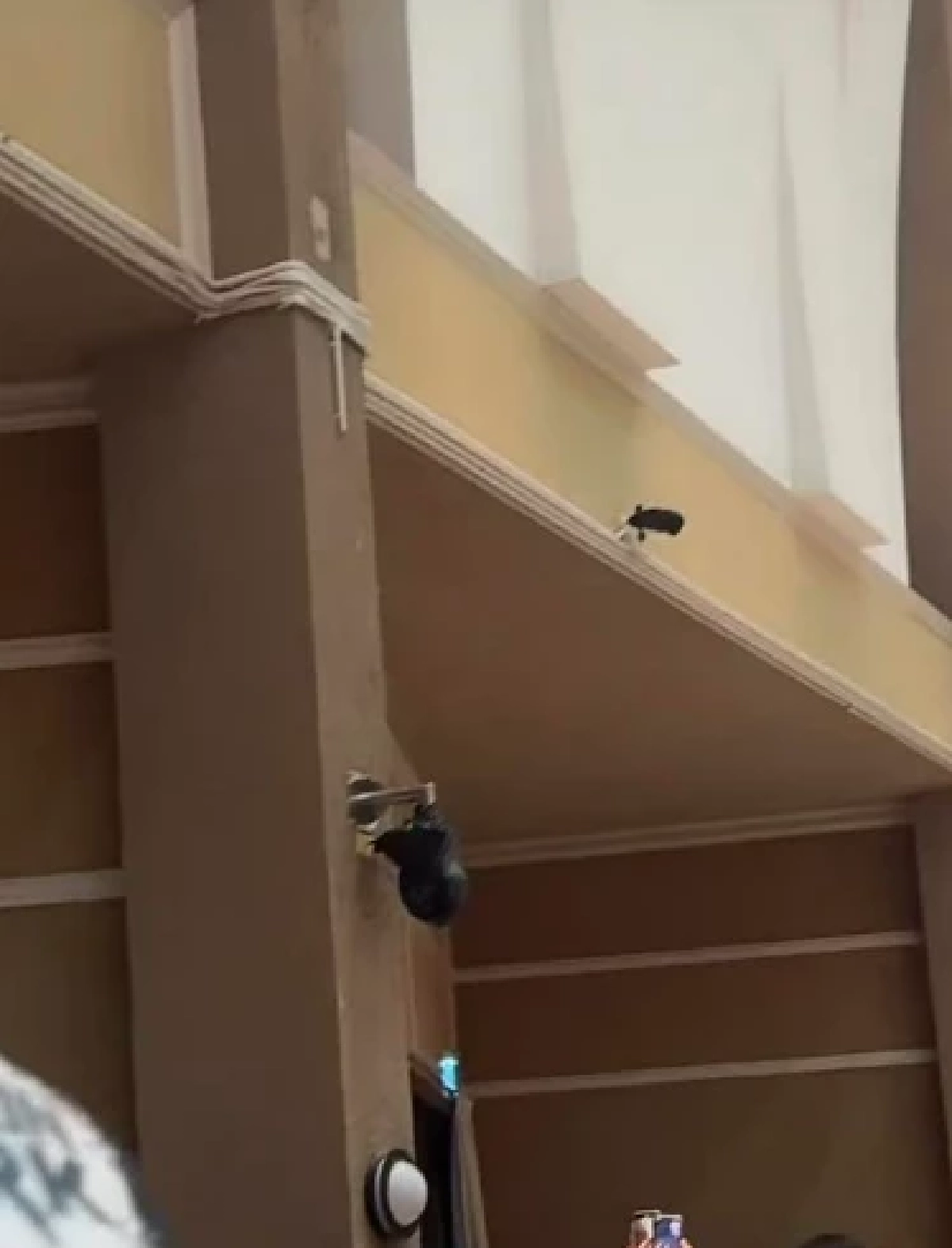 เปิดสาเหตุแท้จริง กกต. ปทุมฯ เขต 7 ใช้ถุงดำคลุมกล้องวงจรปิด