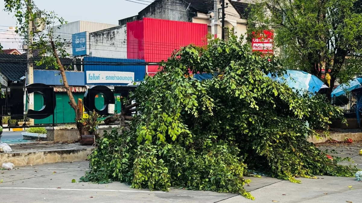 ภาพ @อำเภอจอมทอง จังหวัดเชียงใหม่ 