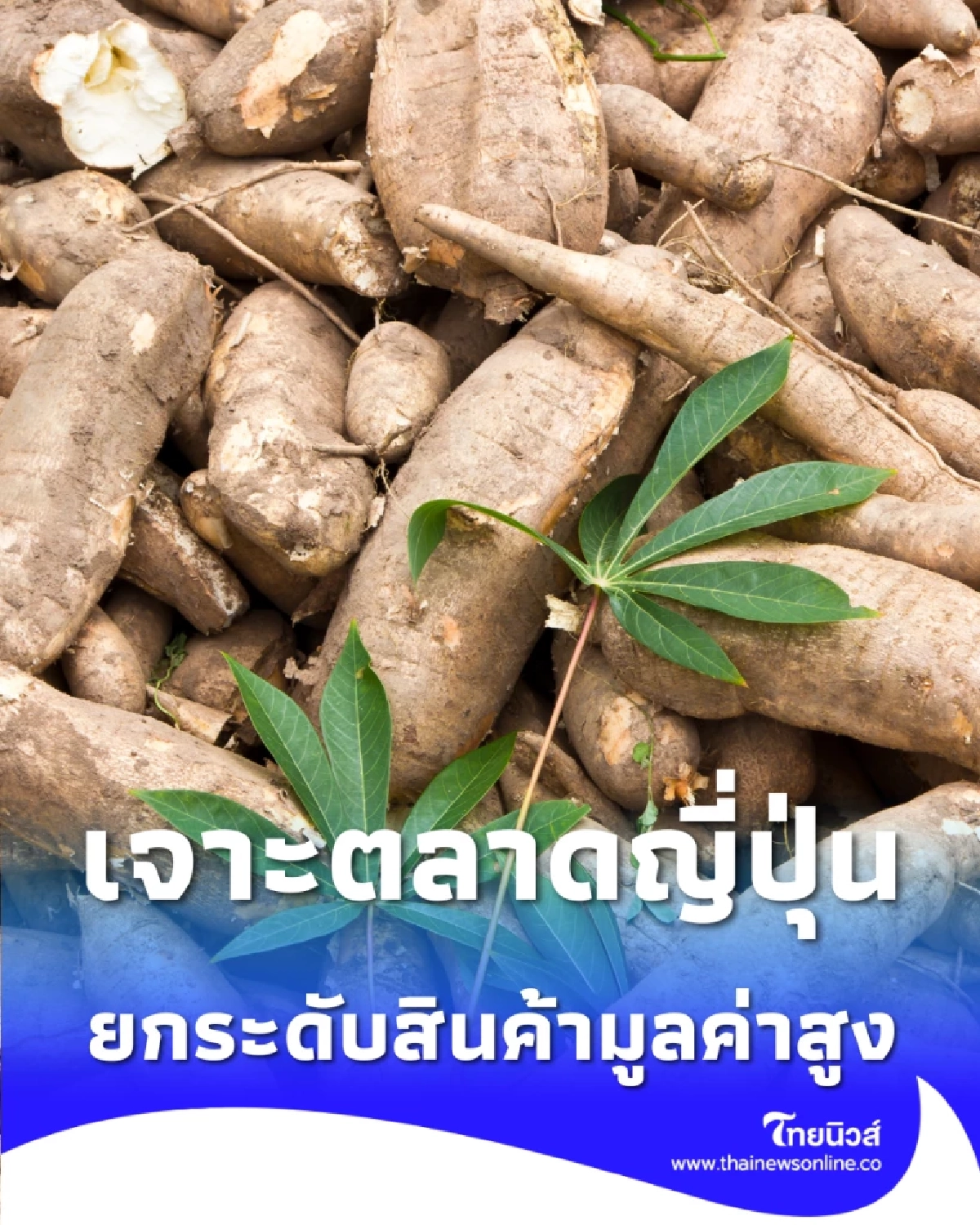 บุกกรุงโตเกียว รัฐดัน มันสำปะหลังไทย สู่ตลาดญี่ปุ่น ยกระดับสินค้ามูลค่าสูง
