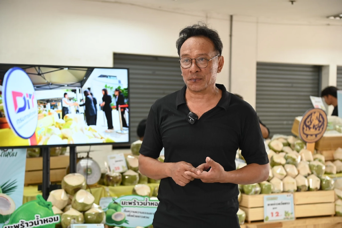 อุ้มราคามะพร้าวน้ำหอม DIT รับซื้อ 2 ล้านลูก กลาง-ใต้ ดันขายทั่วไทย