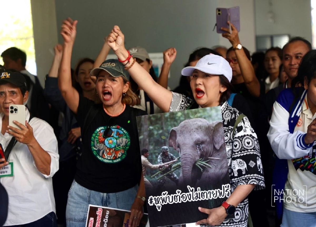 คนรักช้างบุกกรมอุทยานฯ จี้อธิบดีลาออก รับผิดชอบกรณีสีดอหูพับล้ม