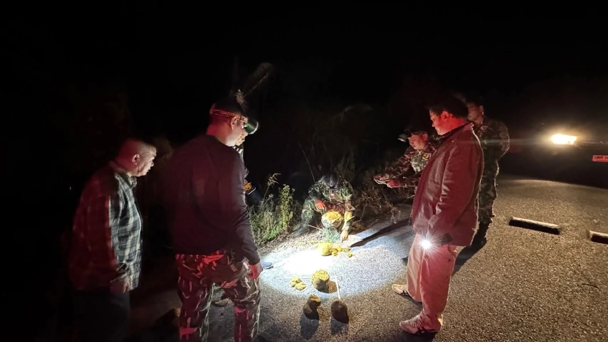 วังน้ำเขียวระทึก! ศึกช้างหนุ่มจ่อปะทะ ทับลานส่งโดรนคุมเข้ม 24 ชม.