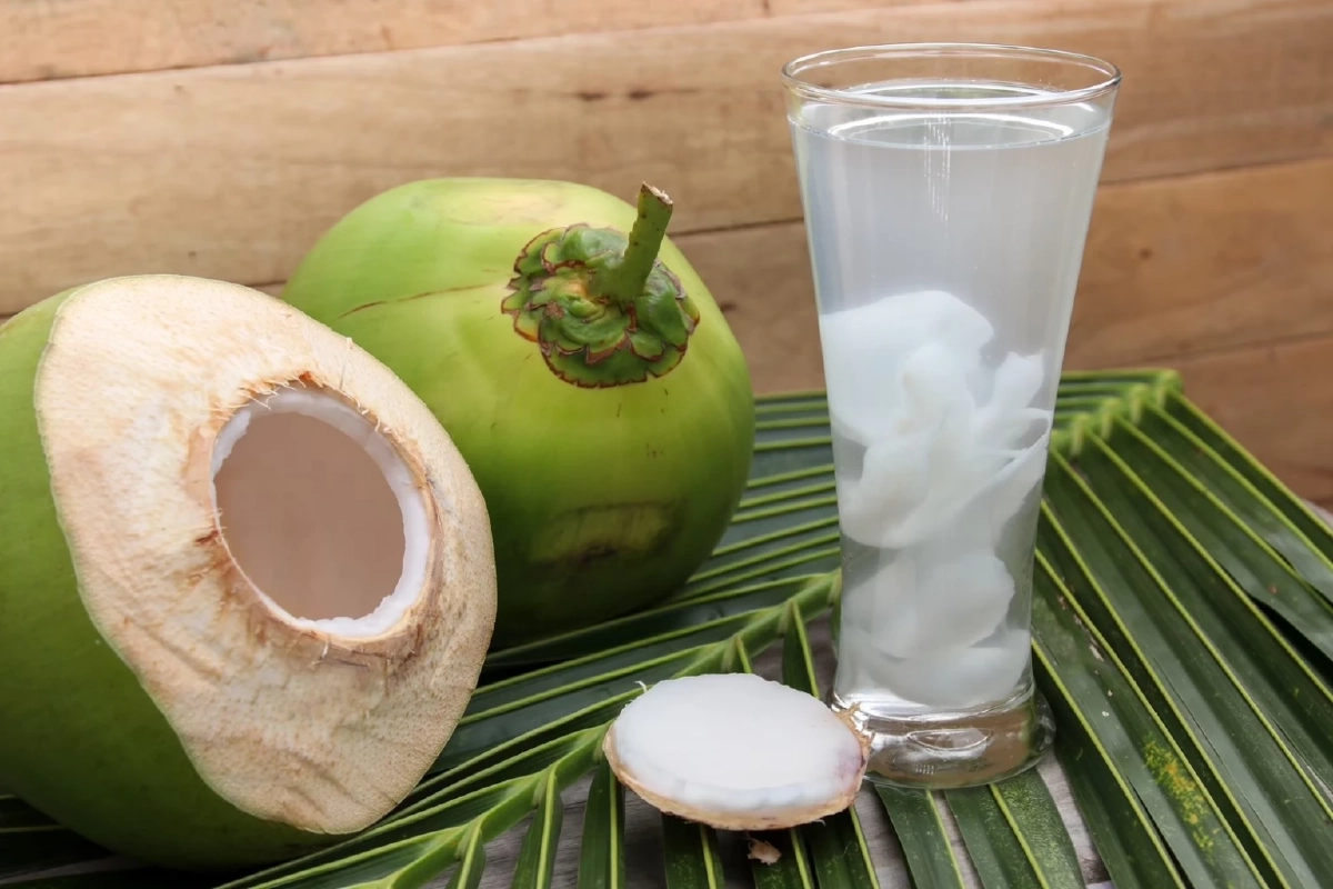 มะพร้าวน้ำหอมราชบุรี ผงาดคว้า GI ใน EU บุกตลาดยุโรป 27 ประเทศ