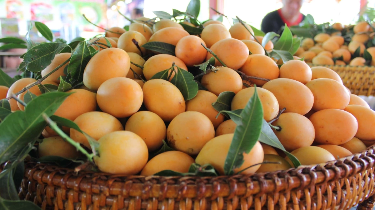 ระวัง "มะยงชิด" แสนอร่อย เปรี้ยว หวาน ชื่นใจ แต่กินมากไปก็ไม่ดี