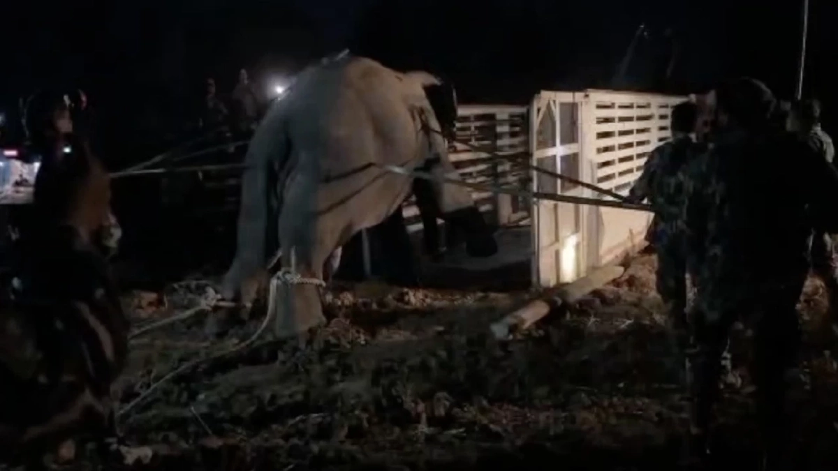 ดร.อลงกต จี้รัฐสภาใช้กรณีสีดอหูพับปฏิรูปกฎหมายทั้งระบบ