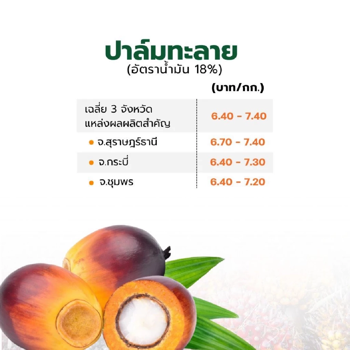 อัปเดตราคาสินค้าเกษตร 19 ก.พ. 2569 พืชเศรษฐกิจหลัก 4 รายการ