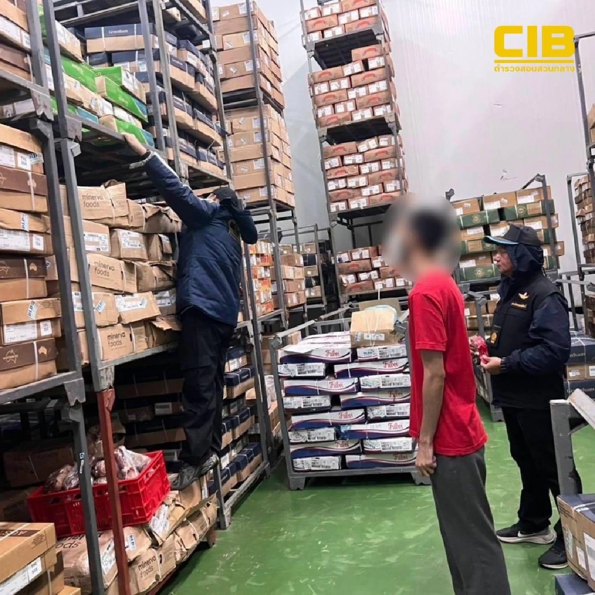 CIB สนธิกำลังกรมปศุสัตว์ ตรวจยึดซากโคเถื่อน กว่า 3.6 ตัน