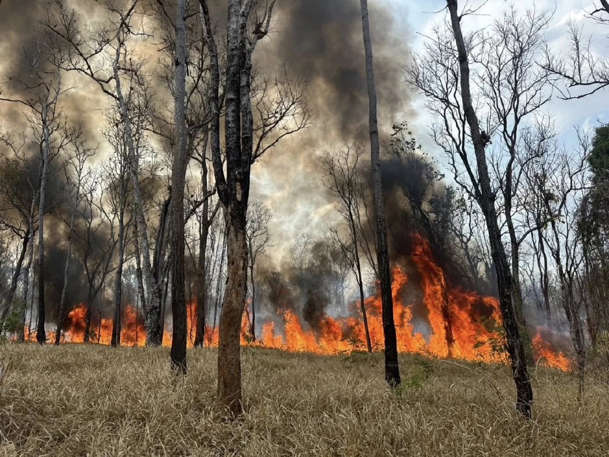 ระดมกำลังคุมไฟป่าวังน้ำเขียวสำเร็จ เสียหายกว่า 5,000 ไร่
