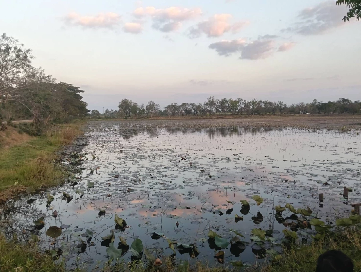 แม่หนุ่ม 19 เปิดความจริง ลูกดับในบึงบัว แท้จริงไม่ได้ไปถ่ายคอนเทนต์