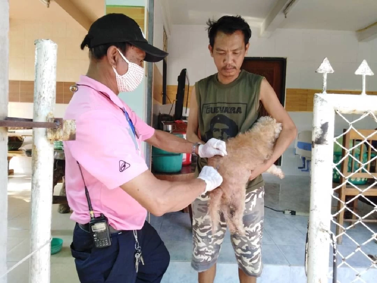 เปิด 10 พื้นที่ในเขตดินแดง บริการฉีดวัคซีนพิษสุนัขบ้า ฟรี!