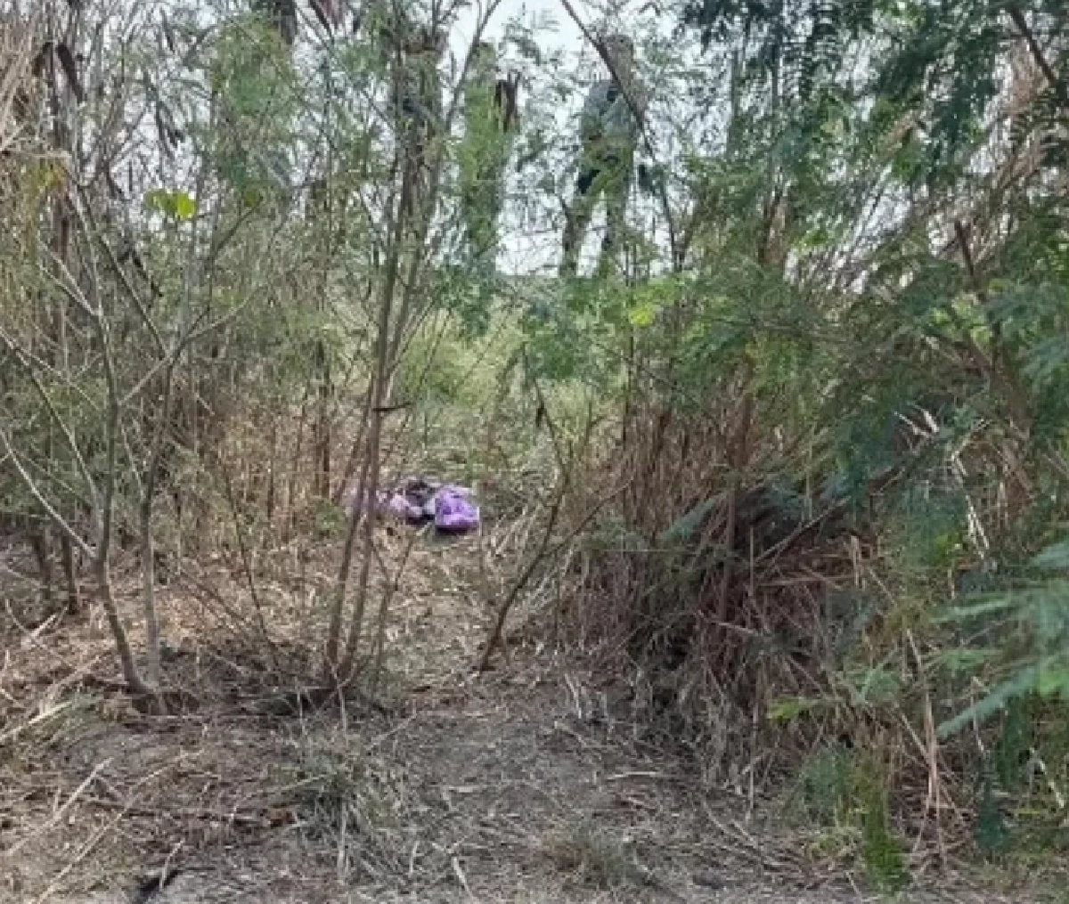 ตร.เผยเบาะแสสำคัญ หนูน้อย 5 ขวบ ดับปริศนาในป่าริมถนนสระบุรี