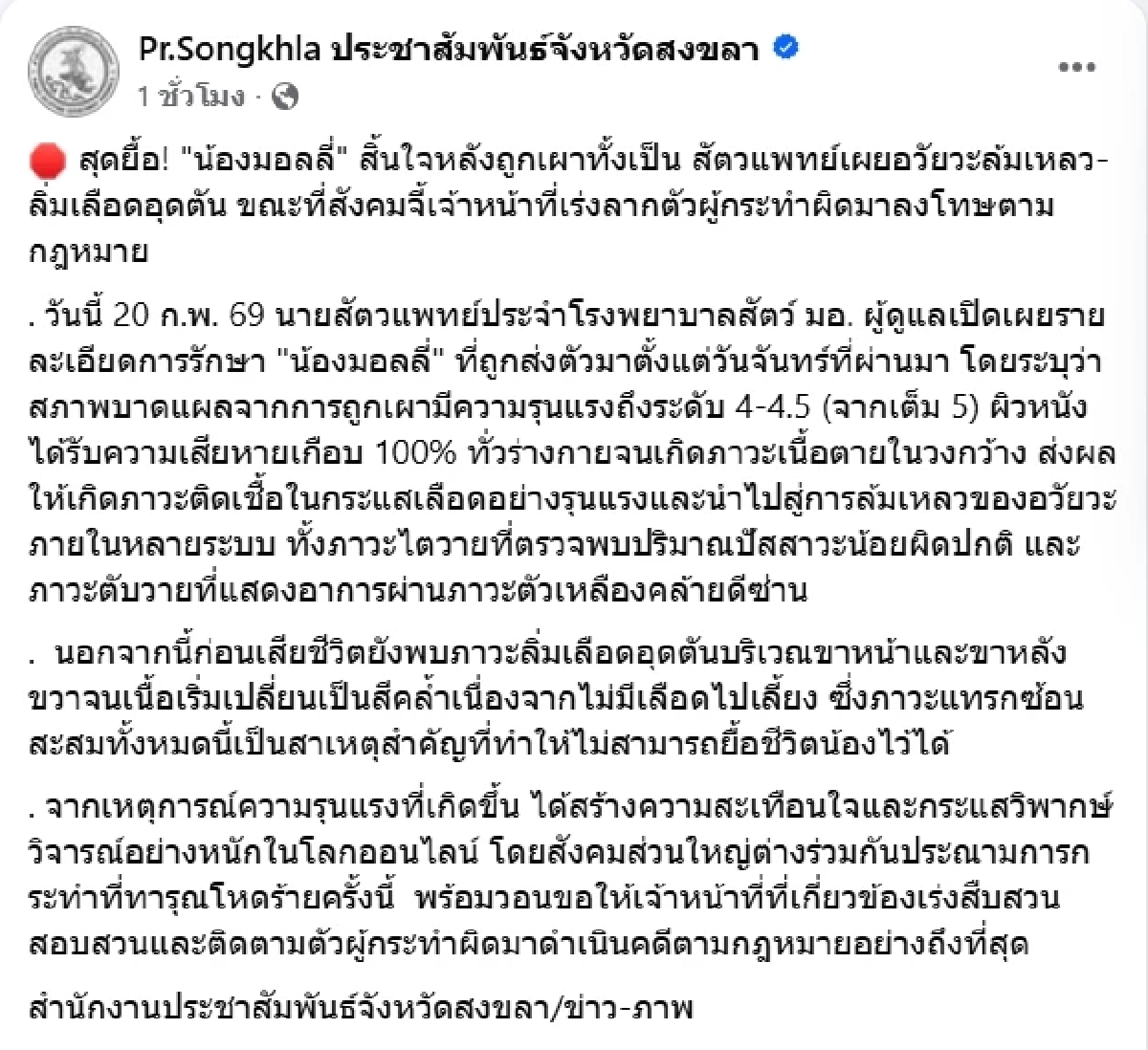 สัตวแพทย์ เผยอาการมอลลี่ ก่อนกลับดาว สาเหตุทำให้ยื้อชีวิตไม่ได้