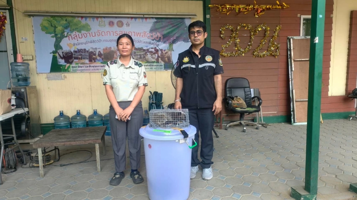 สกัดขบวนการค้าสัตว์ป่าข้ามชาติ! รวบหนุ่มไทยซุก ตะกวด–โอพอสซัม