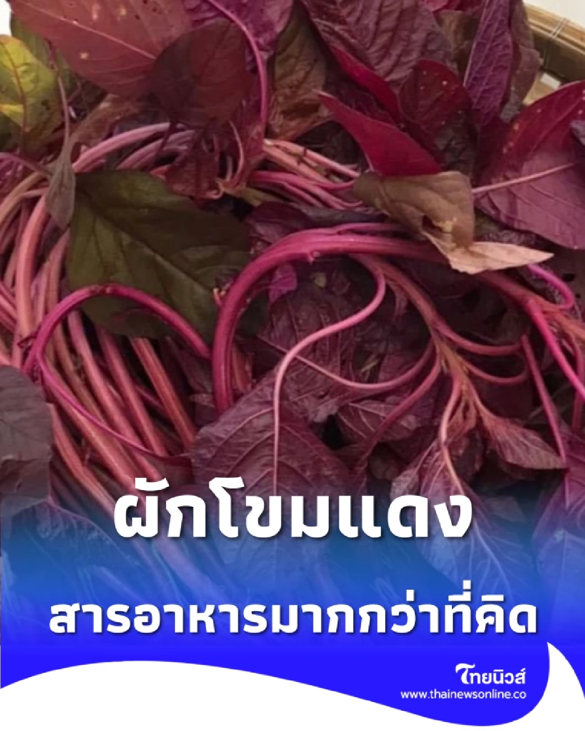 ส่องประโยชน์ ผักโขมแดง ผักพื้นบ้านที่อัดแน่นด้วยวิตามินและสารอาหารมากกว่าที่คิด